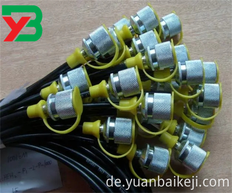 C2 Webp JPG C2 Webp Jpg